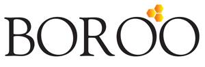 Boroo Pte. Ltd.